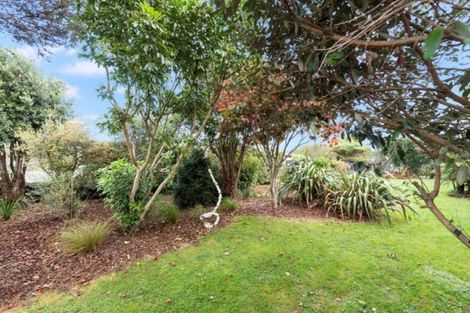 Photo of property in 117 Howell Avenue, Hillcrest, Hamilton, 3216