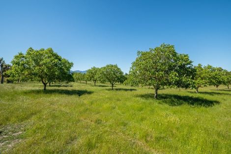 Photo of property in 187 Wither Road, Witherlea, Blenheim, 7201