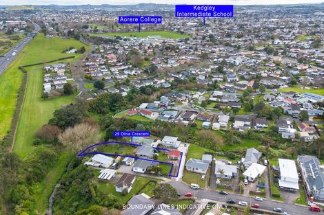 Photo of property in 29 Olive Crescent, Papatoetoe, Auckland, 2025