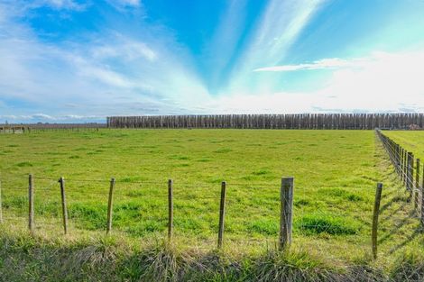 Photo of property in 185 Eriksen Road, Awatoto, Napier, 4110