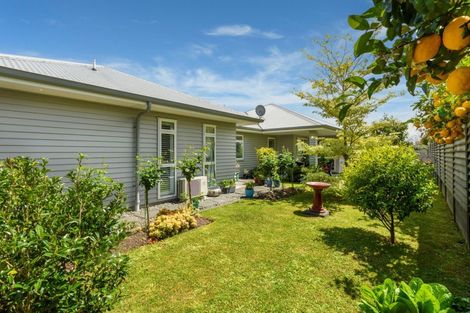 Photo of property in 16 Saint Michaels Avenue, Bethlehem, Tauranga, 3110