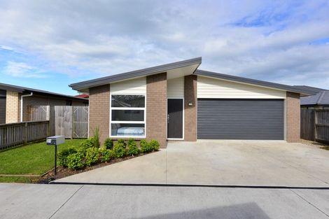 Photo of property in 29 Benjamin Avenue, Rototuna North, Hamilton, 3210