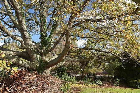 Photo of property in 1908 Paparoa Valley Road, Paparoa, 0571