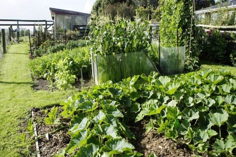 Photo of property in 150 Owaka Valley Road, Owaka, 9586