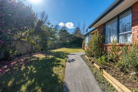 Photo of property in 26 Brymer Road, Grandview Heights, Hamilton, 3200