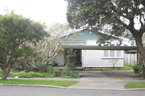 Photo of property in 12 Green Street, Epuni, Lower Hutt, 5011