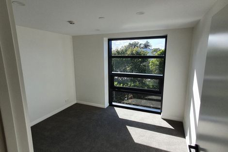 Photo of property in 609/8 Kingsland Terrace, Kingsland, Auckland, 1021