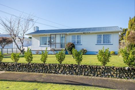 Photo of property in 12 Mersey Street, Levin, 5510