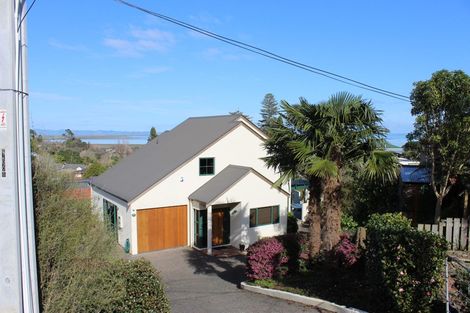 Photo of property in 201a Mill Street, Thames, 3500