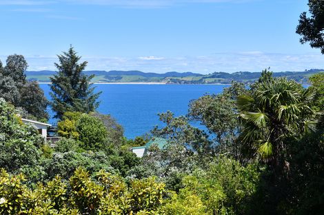 Photo of property in 6 Hillside Crescent, Leigh, 0985