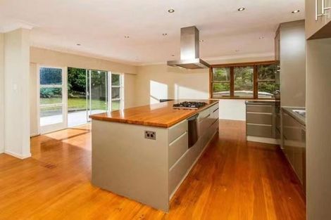 Photo of property in 13 Orion Place, Hillcrest, Auckland, 0627
