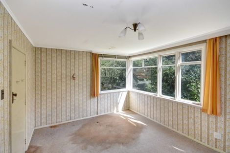 Photo of property in 25 Tannadice Street, Normanby, Dunedin, 9010