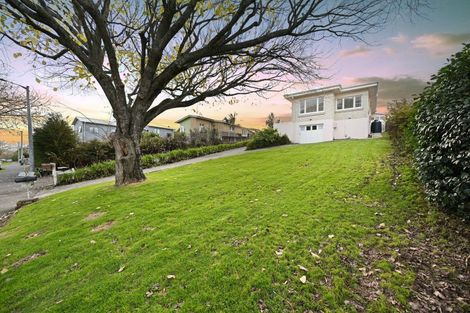 Photo of property in 98 Mahoe Street, Melville, Hamilton, 3206