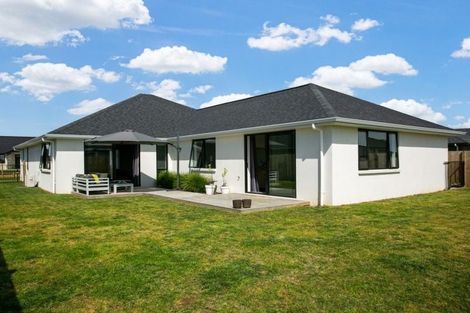 Photo of property in 33 Ruru Street, Cambridge, 3434