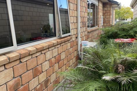 Photo of property in 21 Scoria Close, Pyes Pa, Tauranga, 3112