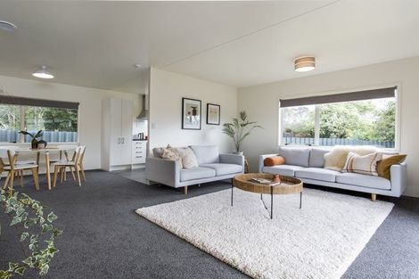 Photo of property in 1/12 Luke Street, Otahuhu, Auckland, 1062