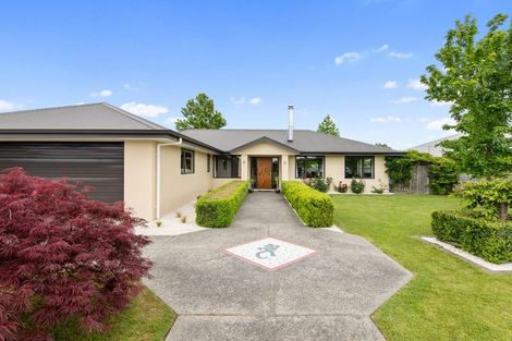 Photo of property in 15 Waipuna Street, Mayfield, Blenheim, 7201
