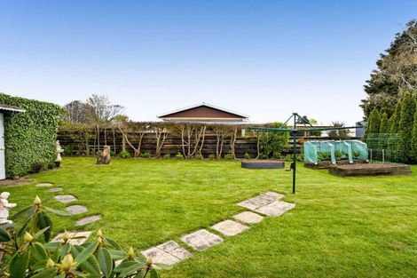 Photo of property in 20 Pembroke Road, Stratford, 4332