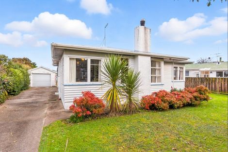 Photo of property in 45 Duke Street, Levin, 5510