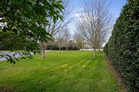 Photo of property in 62b Devine Road, Tamahere, Hamilton, 3283