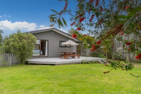 Photo of property in 29 Oyster Drive, Cooks Beach, Whitianga, 3591