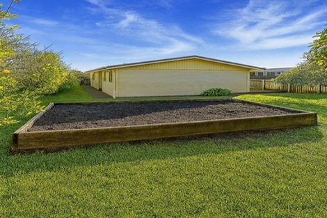 Photo of property in 1/31 Raines Avenue, Forrest Hill, Auckland, 0620