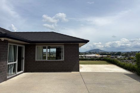 Photo of property in 373 Picquet Hill Road, Te Awamutu, 3800