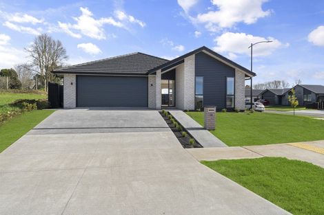 Photo of property in 23 Keri Rua Road, Leamington, 3495