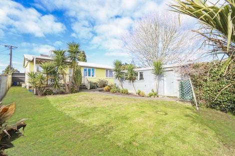 Photo of property in 22b Tomo Street, New Lynn, Auckland, 0600