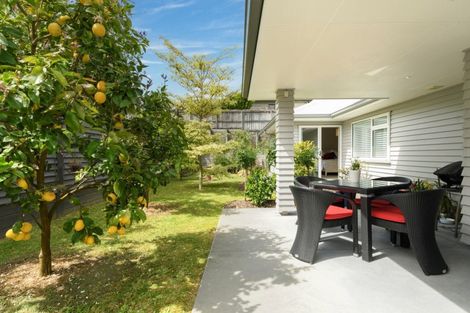 Photo of property in 16 Saint Michaels Avenue, Bethlehem, Tauranga, 3110