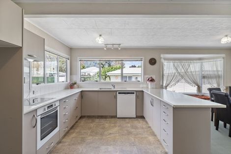 Photo of property in 12 Spencer Street, Te Aroha, 3320