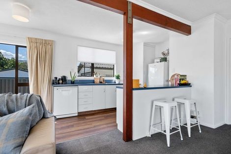 Photo of property in 9 Clare Place, Cromwell, 9310