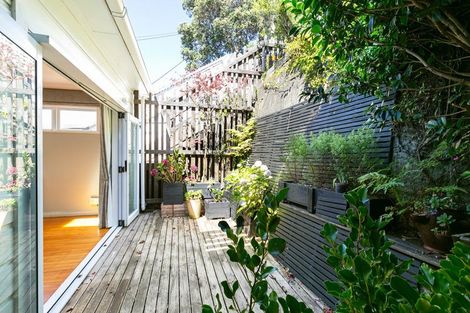 Photo of property in 5 Mckenzie Terrace, Te Aro, Wellington, 6011