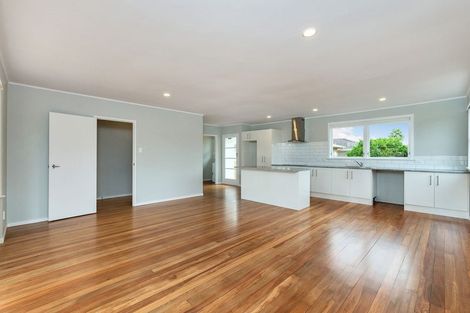 Photo of property in 25 Holland Street, Pukekohe, 2120