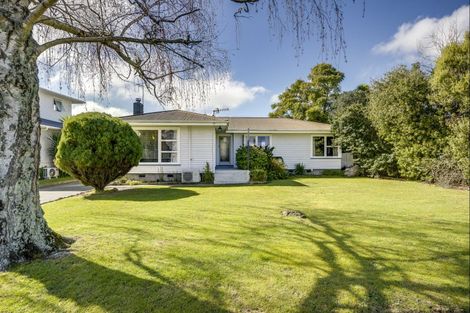 Photo of property in 17 Downing Avenue, Pirimai, Napier, 4112