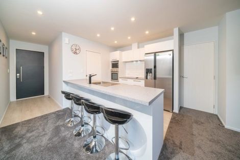 Photo of property in 45 Andesite Drive, Rolleston, 7614