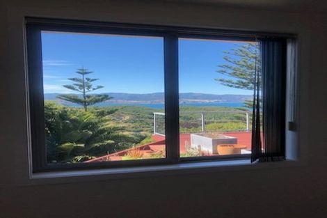 Photo of property in 181 Buckley Road, Southgate, Wellington, 6023