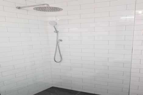 Photo of property in 55a Nairn Street, Mount Cook, Wellington, 6011