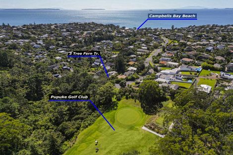 Photo of property in 3 Tree Fern Trail, Campbells Bay, Auckland, 0630