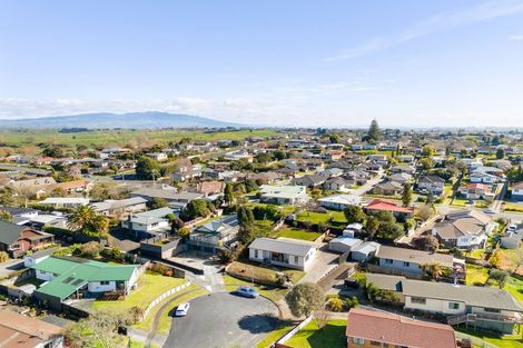 Photo of property in 206 Ascot Place, Te Awamutu, 3800