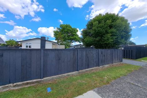 Photo of property in 46 Tongariro Street, Chartwell, Hamilton, 3210