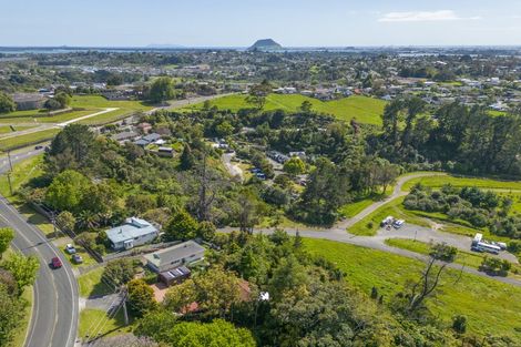 Photo of property in 274 Cambridge Road, Bethlehem, Tauranga, 3110