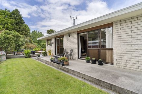 Photo of property in 12 Norrie Street, Te Puke, 3119