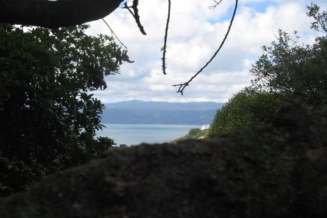 Photo of property in 53 Ngaio Gorge Road, Ngaio, Wellington, 6035