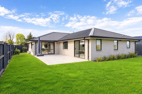 Photo of property in 17 Whakahaumako Road, Leamington, Cambridge, 3495