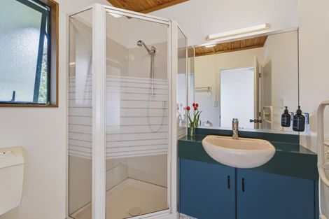 Photo of property in 860 Buffalo Road, Coromandel, 3506