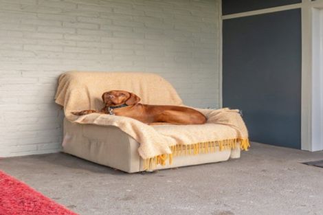 Photo of property in 100 High Street, Waimate, 7924