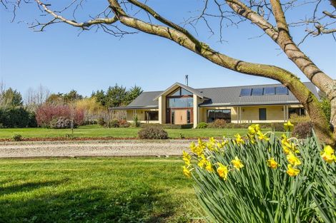 Photo of property in 8 Mclean Road, Leithfield, Amberley, 7481