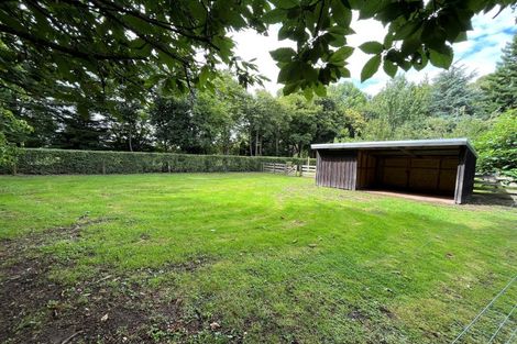 Photo of property in 109 Butcher Road, Matangi, Hamilton, 3284