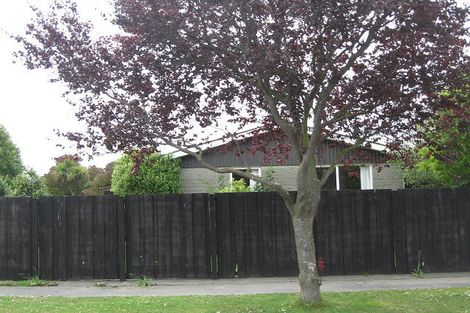 Photo of property in 29 Mccarthy Street, Hoon Hay, Christchurch, 8025